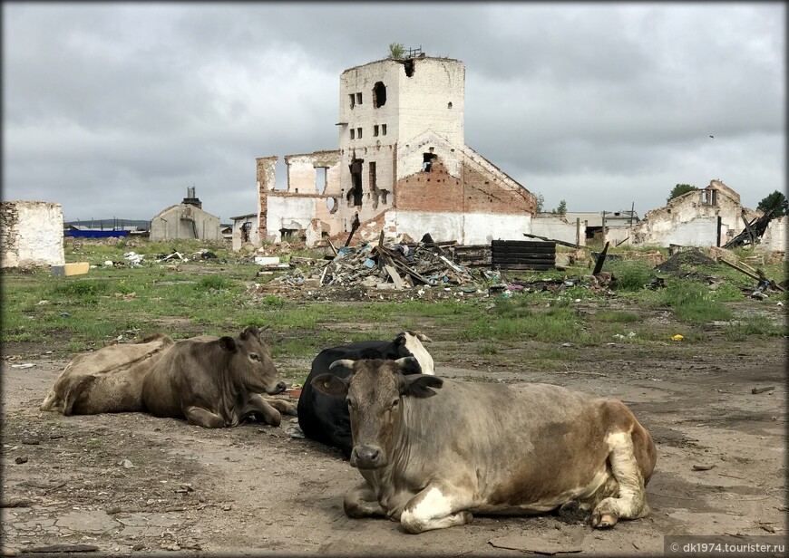 Автомобильное путешествие по Восточной Сибири ч.12 — Усть-Ордынский и ледокол «Ангара»