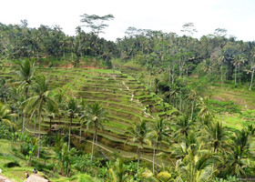 Бали - Кинтамани тур