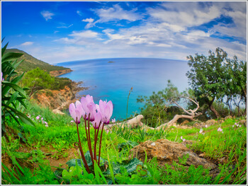 Кипр с 1 июня снимает все ковидные ограничения на въезд для туристов
