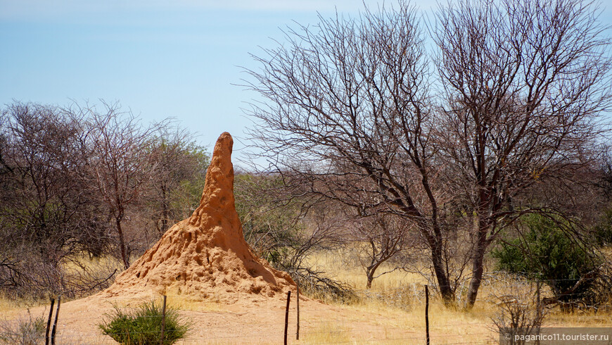 Намибия — другая Африка. Часть 6. Племя Topless и самый большой заповедник Африки