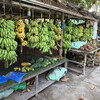Рынок в Салале