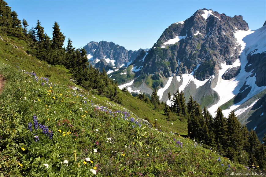 На тропе Sahale Arm Trail.