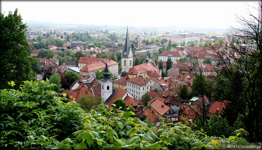 Влюбленный в Любляну