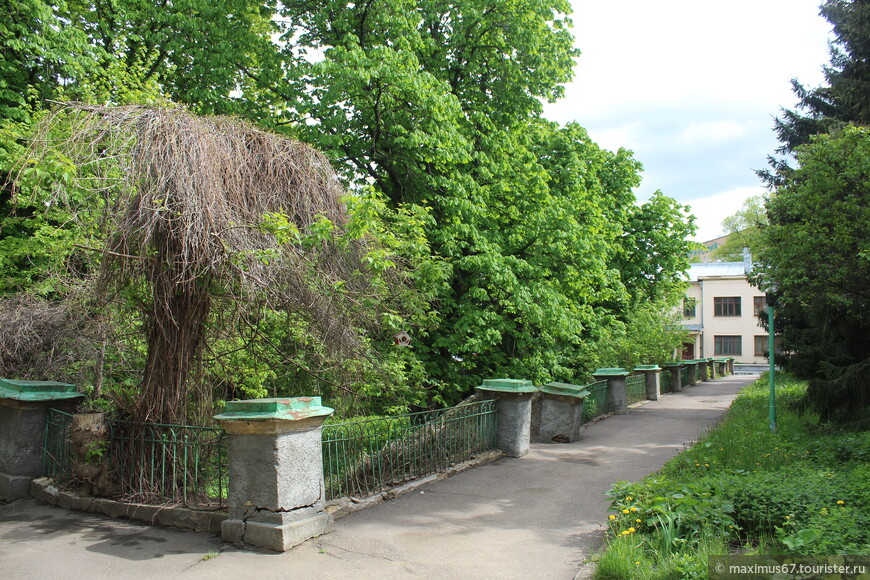 В гостях у академика 