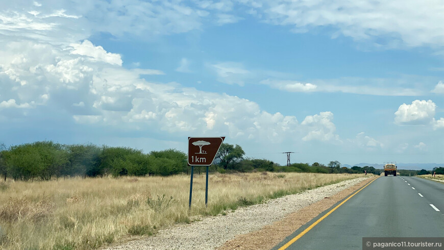 Намибия — другая Африка. Часть 7. Финал