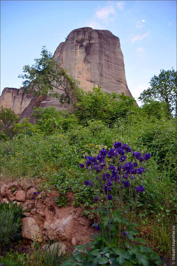 DSC_0590.JPG