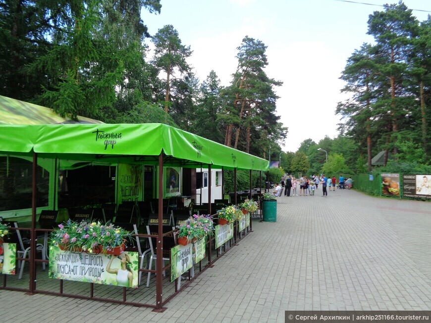 Центральный городской парк Челябинска — парк Гагарина