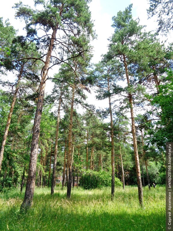 Центральный городской парк Челябинска — парк Гагарина