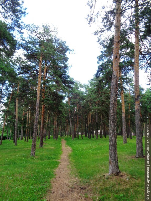 Центральный городской парк Челябинска — парк Гагарина