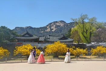 Южная Корея отменяет обязательный карантин для непривитых туристов