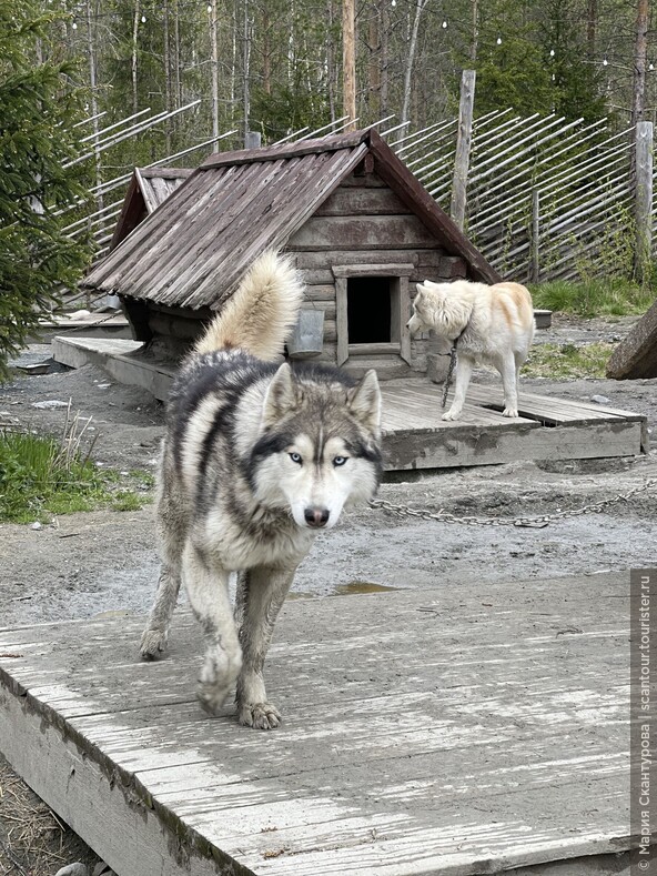 Лучшее в Карелии: шхеры, водопады… Кижи?