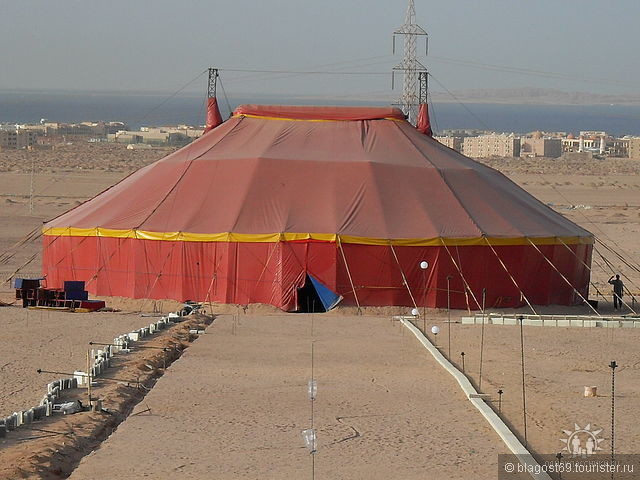 Цирк в Хургаде