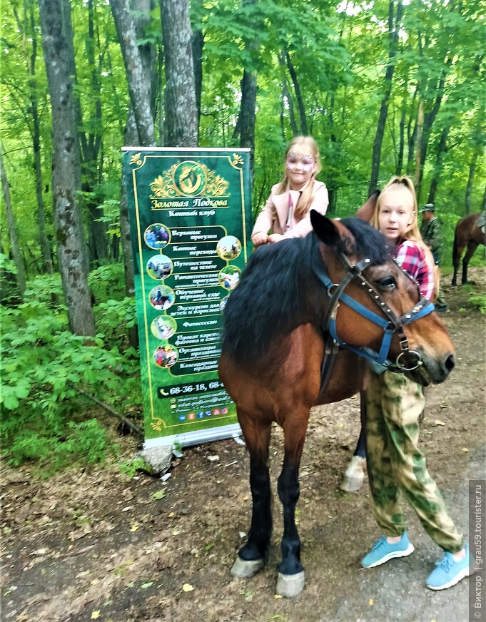 Поездка на фестиваль «Сказки леса» 