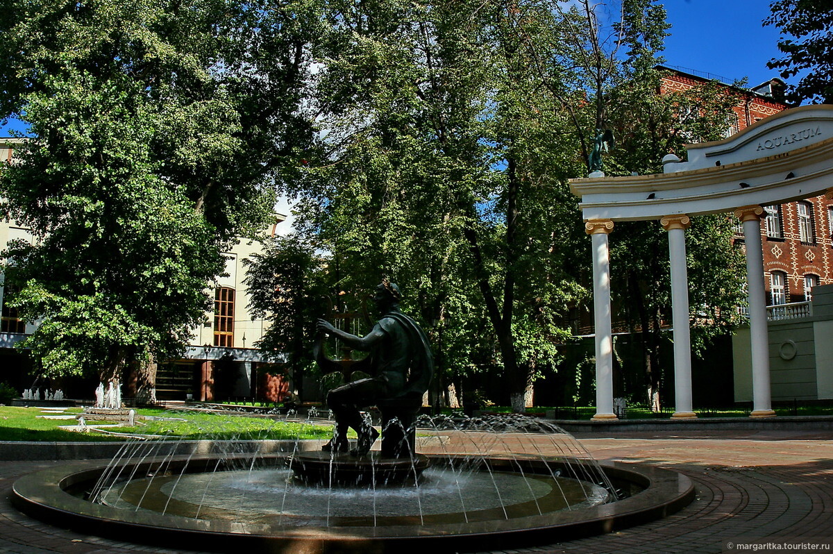 Сад аквариум карта