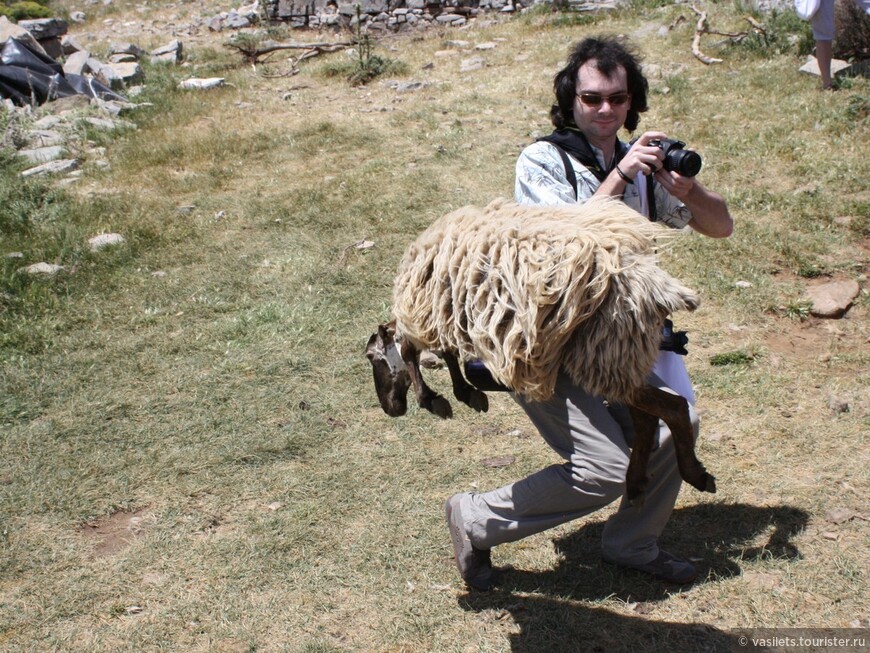Критские хроники с летающими овцами