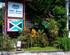 Kingston Jamaica Hostel