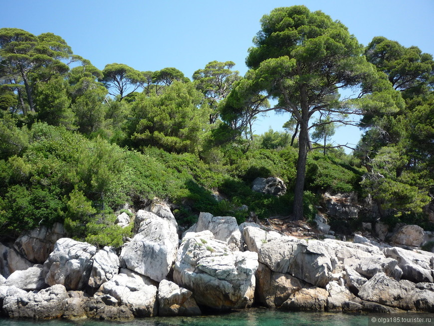 Волшебный остров Локрум, Хорватия