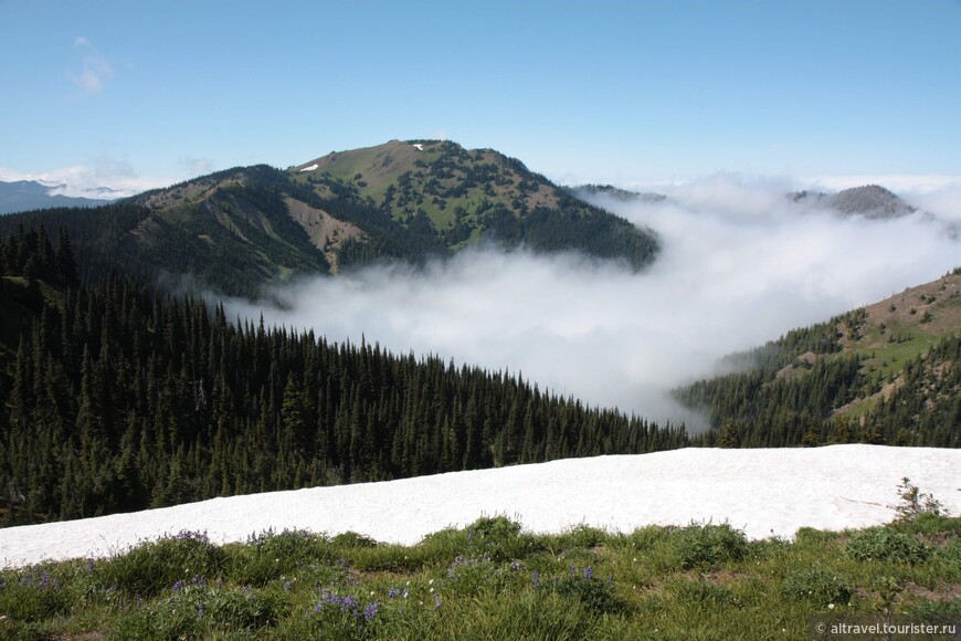 Облака и снег (или дождь) - частое явление в горах Олимпик.