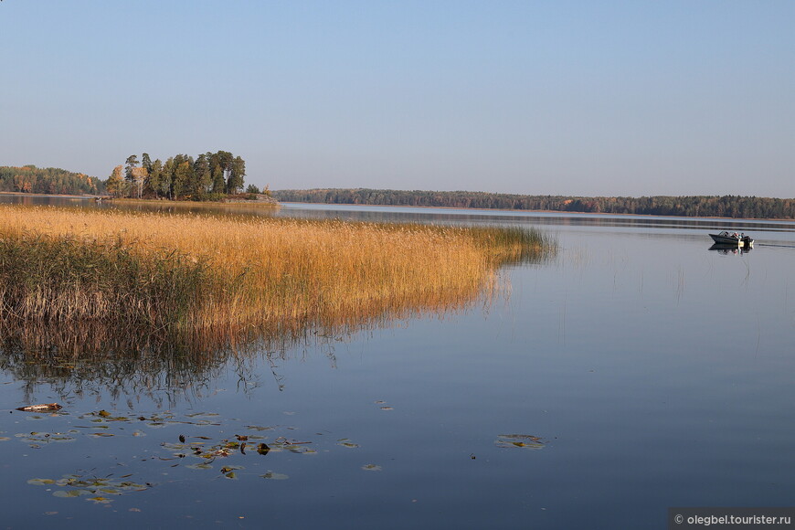 Покой парка Монрепо