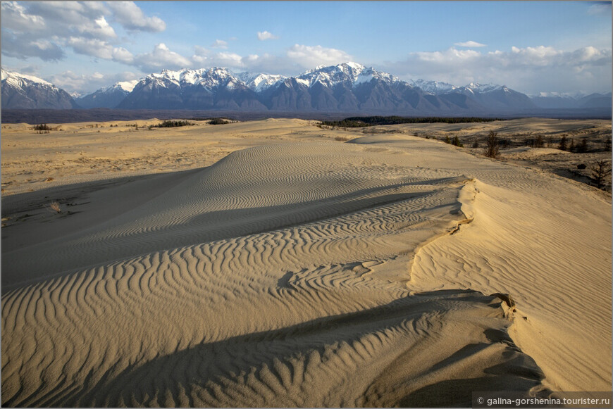Пустыня во глубине сибирских руд. Часть 2. Урочище Чарские пески
