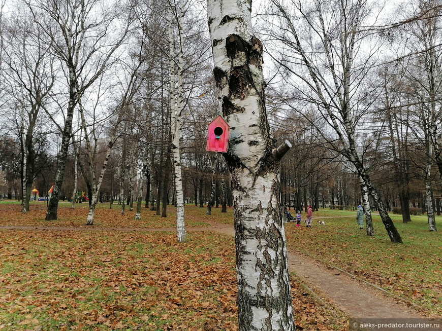 Тихий пруд Капустинского парка в Москве