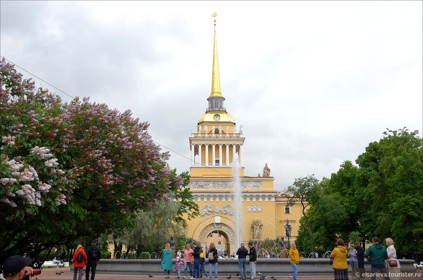 Молодое июньское лето в Санкт-Петербурге и его окрестностях