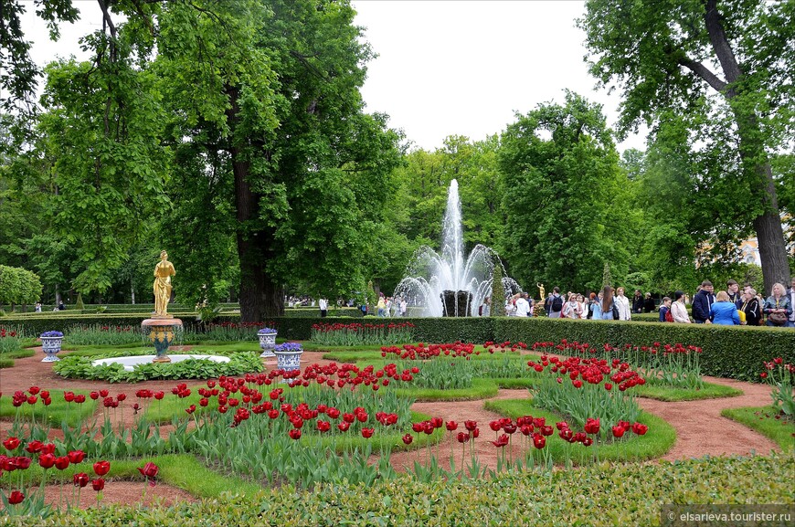 Молодое июньское лето в Санкт-Петербурге и его окрестностях