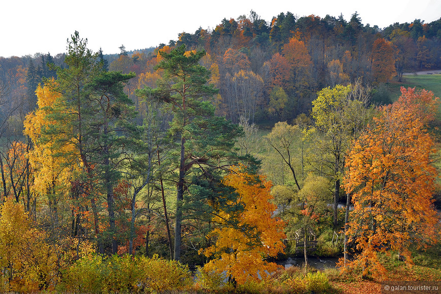 Красавица-осень в Латвии