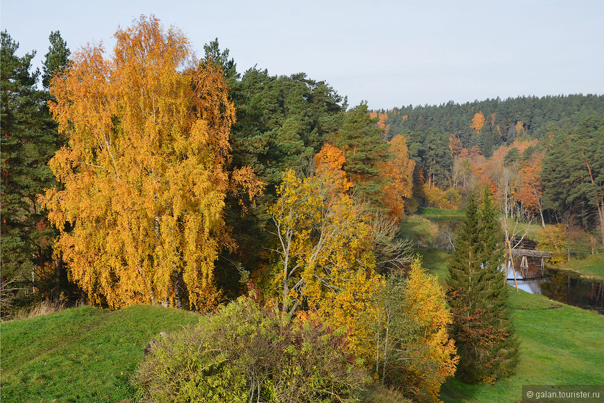Красавица-осень в Латвии
