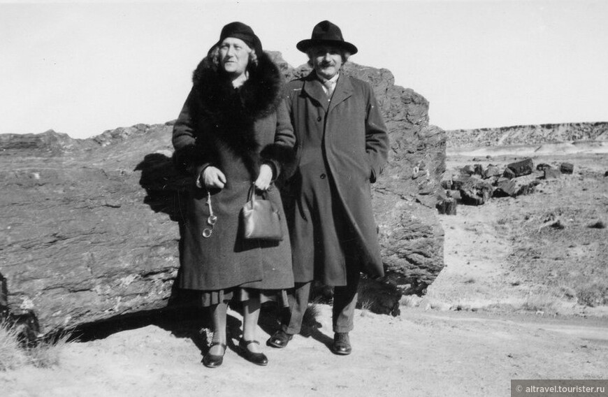  Эйнштейн с супругой у гигантского бревна.