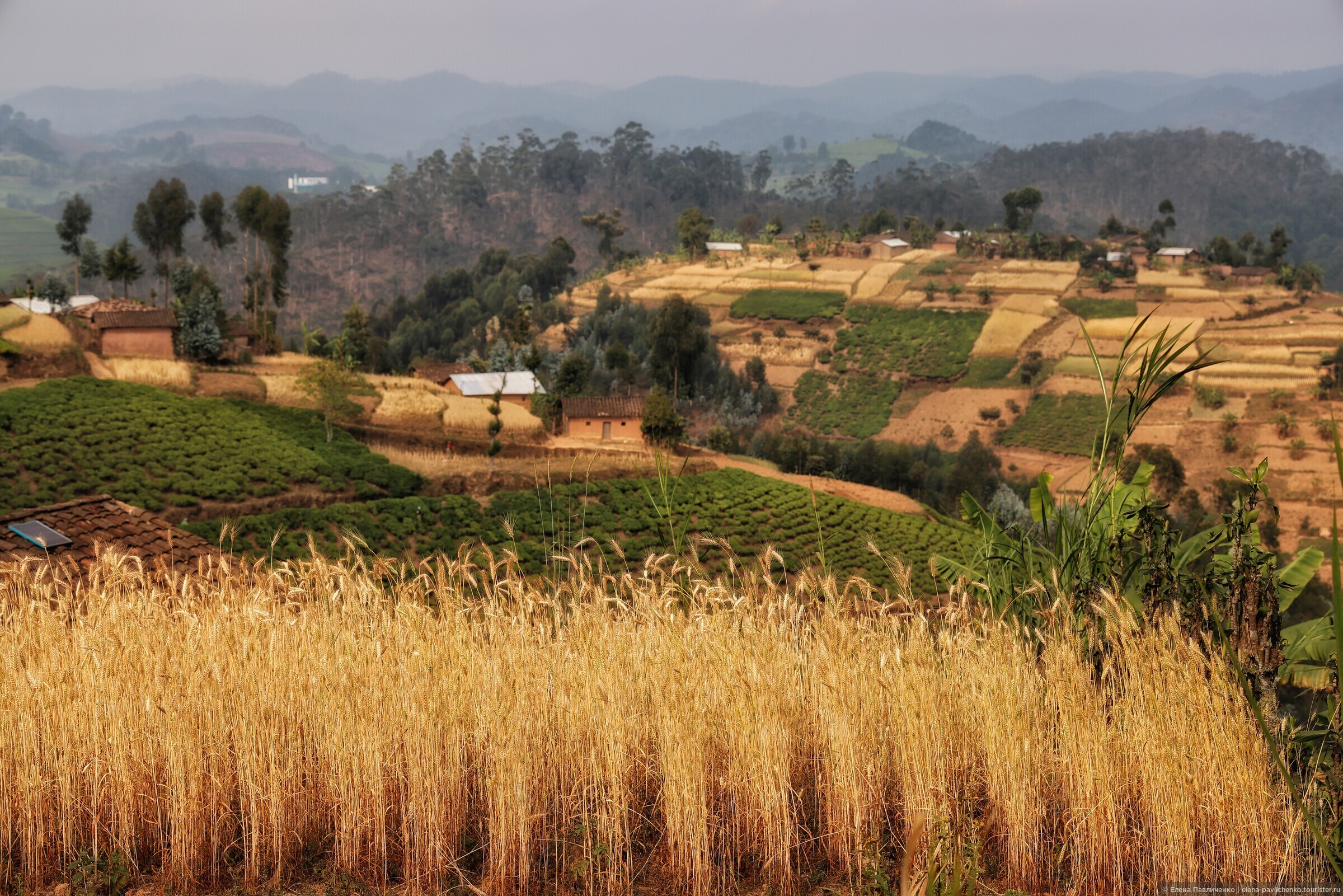Страна 1000 городов. Руанда природа. Руанда пейзажи. Отель тысяча холмов в Руанде. Руанда Страна.