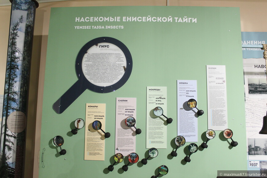 Один из старейших музеев Сибири