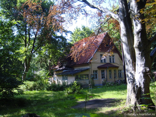 Купить Старинный Немецкий Дом В Калининградской Области
