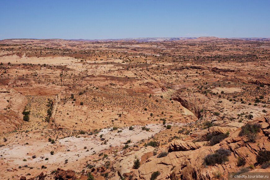 Если приглядеться, то видно, что сухое каменистое плато рассечено щелевыми каньонами
