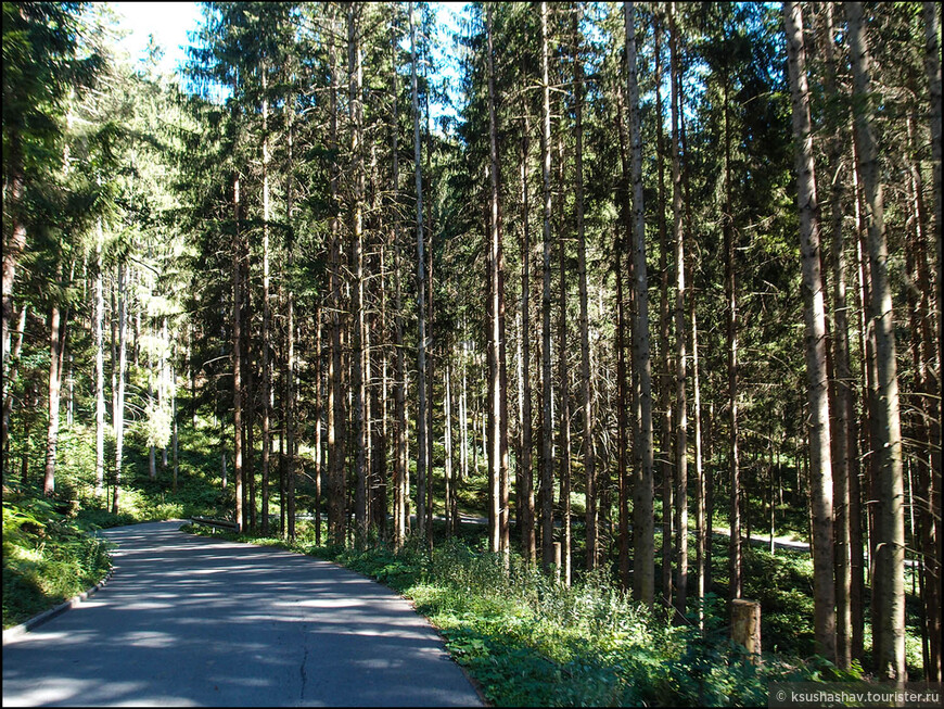 Зелёное лето, Чёрный лес. Альпирсбах