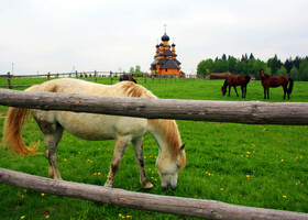 Прогулки по Беларуси