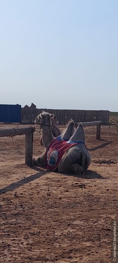 Автопутешествие по Нижней Волге