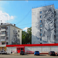 Тигренок на стене пятиэтажки появился в 2019 году, а через год на торце соседнего девятиэтажного дома дорисовали гигантское граффити с мамой-тигром. Складывается впечатление, что тигрица охраняет своего малыша и готова прыгнуть на любого, кто посмеет его обидеть.