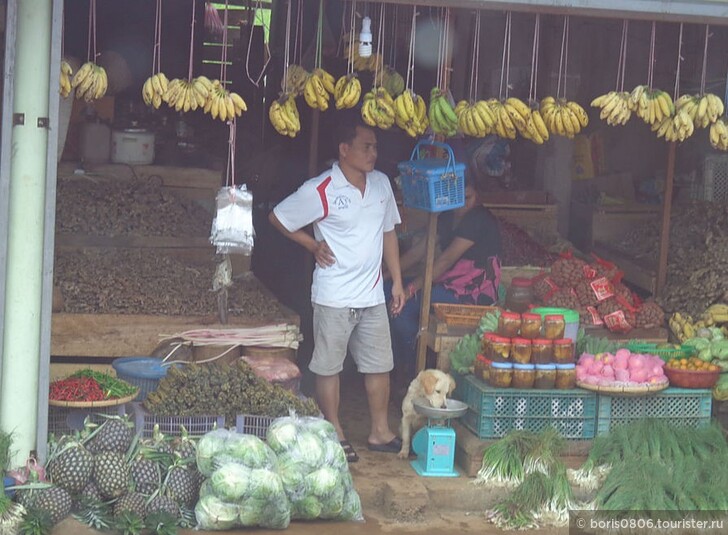 Что купить в Лаосе? Мой опыт