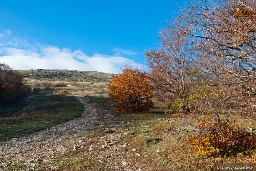 Чатыр-Даг. В сердце Крымских гор.