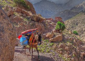 Восхождение на самую высокую гору Марокко Тубкаль