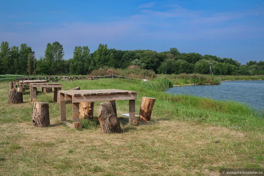 В поисках лотоса и арбуза 