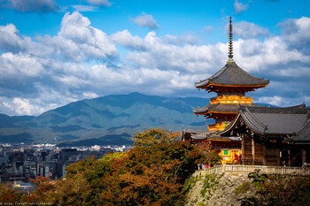 Японию с начала года посетили 3 300 туристов из РФ