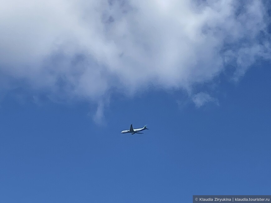 Самолет в небе - лучшая постковидная картинка!