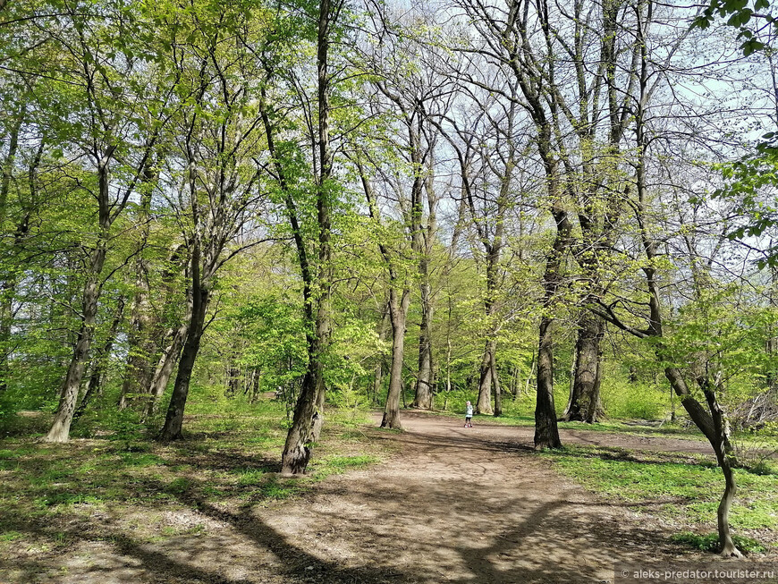 В День Победы в парке Макса Ашманна