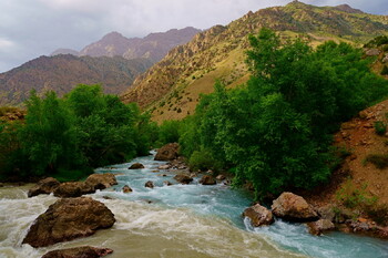 Таджикистан вернул ковидные ограничения на границе