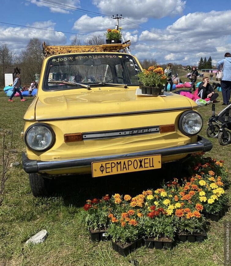 В гости к хаски и оленям