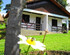 Hotel Fazenda Boa Vida