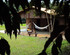 Iguassu Eco Hostel - Eco Suites