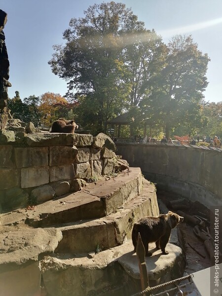 Зверье мое — Калининградский зоопарк